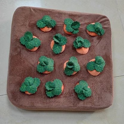 Carrot Plush Dog Toy – Interactive Vegetable Chew & Snuffle Mat for Dogs and Cats